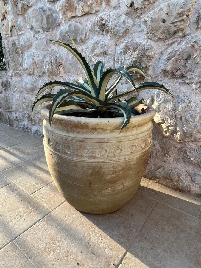 Apartment Jakov & Antonia Heritage Estate Hvar Town